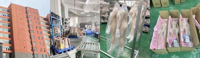 Shenzhen Marcy Healthy Industry Co.,Ltd fabrikantenproductielijn