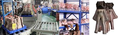 Shenzhen Marcy Healthy Industry Co.,Ltd fabrikantenproductielijn